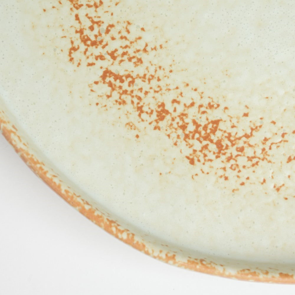 Earthy Stoneware Round Dinner Plate 10 Inch Nestasia