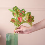 Artificial Decorative Coleus Leaves Set of 2 Nestasia