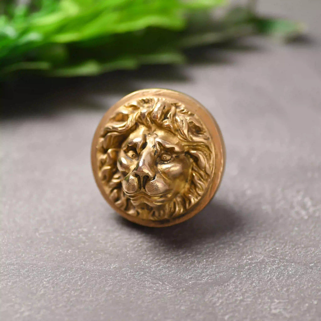Brass Lion Face Drawer Knob (3 Inch) Vedansh Craft