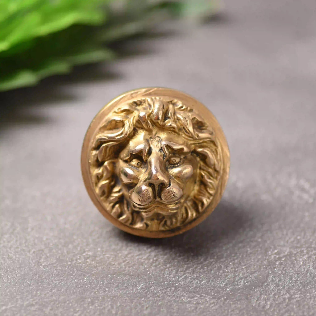 Brass Lion Face Drawer Knob (3 Inch) Vedansh Craft
