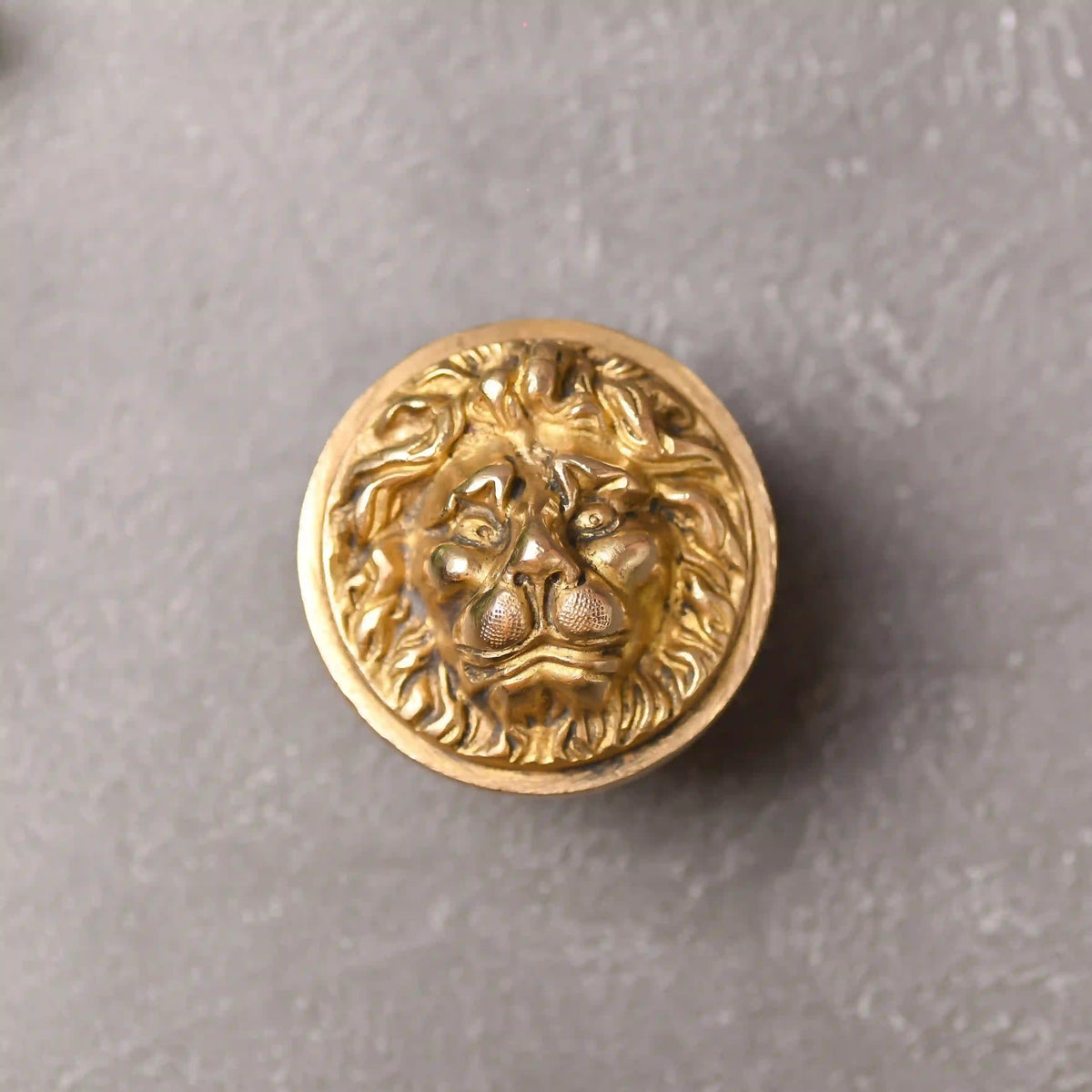Brass Lion Face Drawer Knob (3 Inch) Vedansh Craft