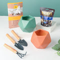 Plant Pot, Tools, And Seeds Festive Hamper Set Of 6 Nestasia