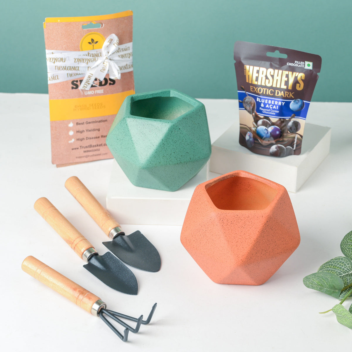 Plant Pot, Tools, And Seeds Festive Hamper Set Of 6 Nestasia