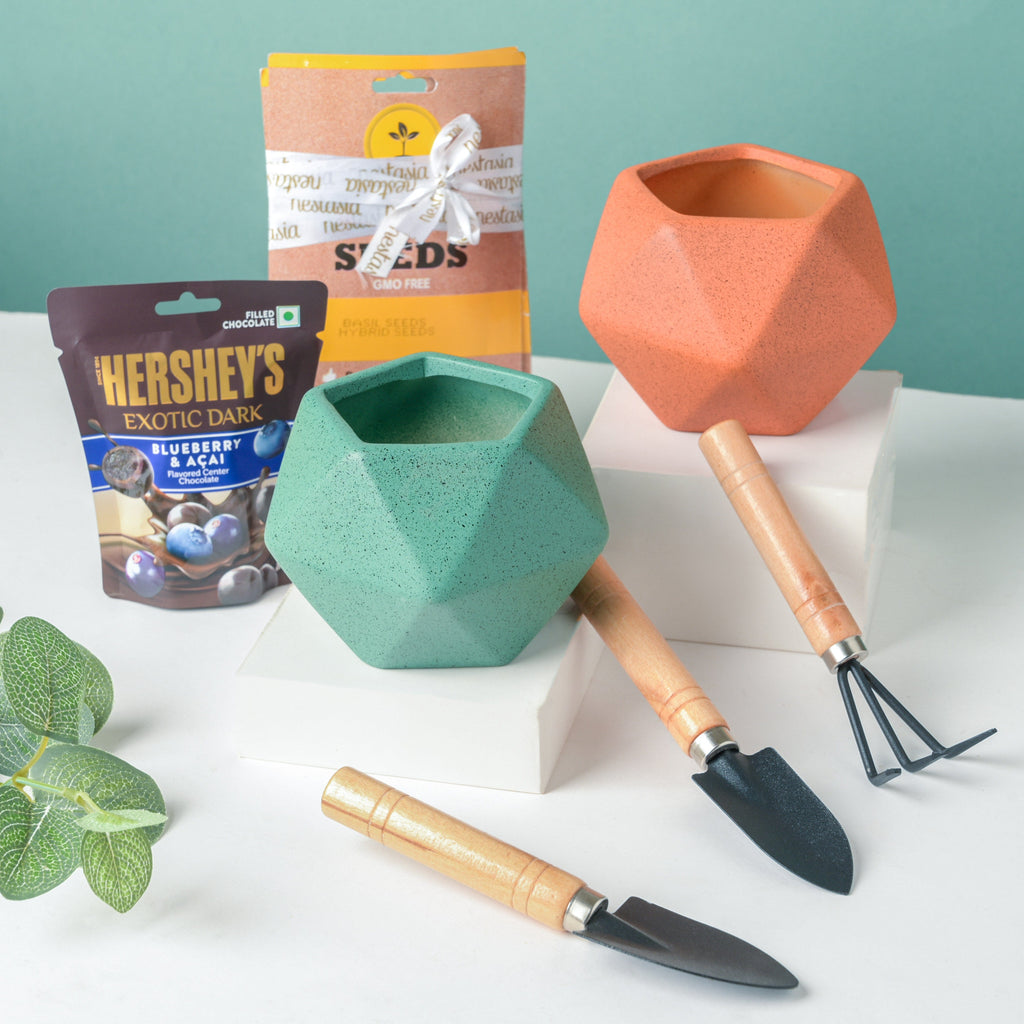 Plant Pot, Tools, And Seeds Festive Hamper Set Of 6 Nestasia
