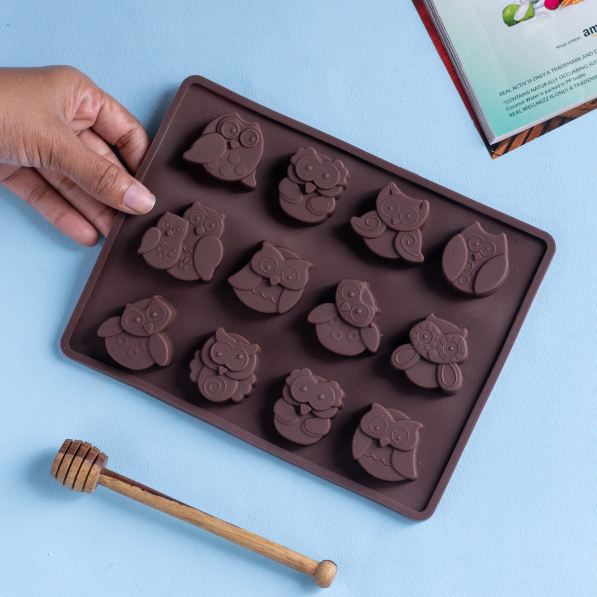 Owl Chocolate Mould Nestasia