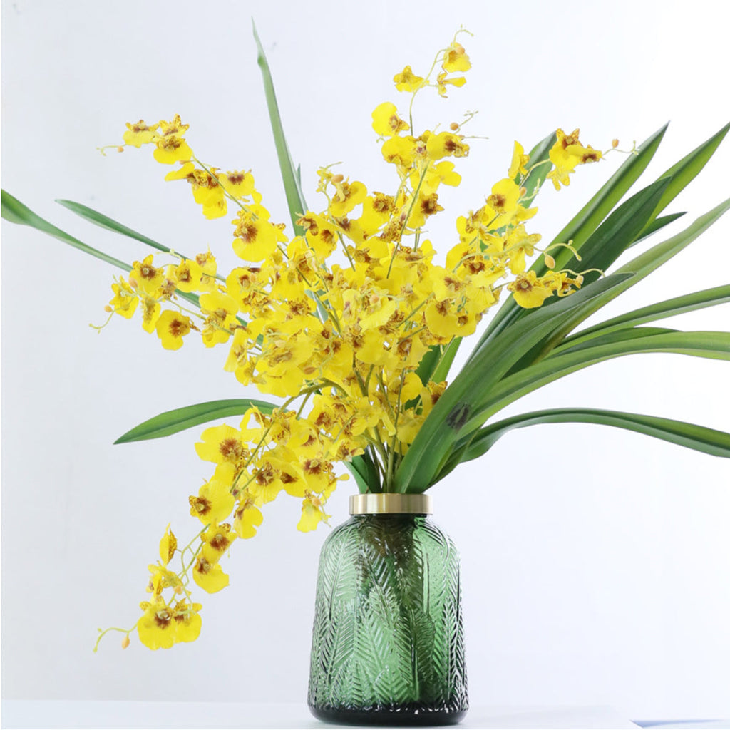 Dancing Orchid Nestasia