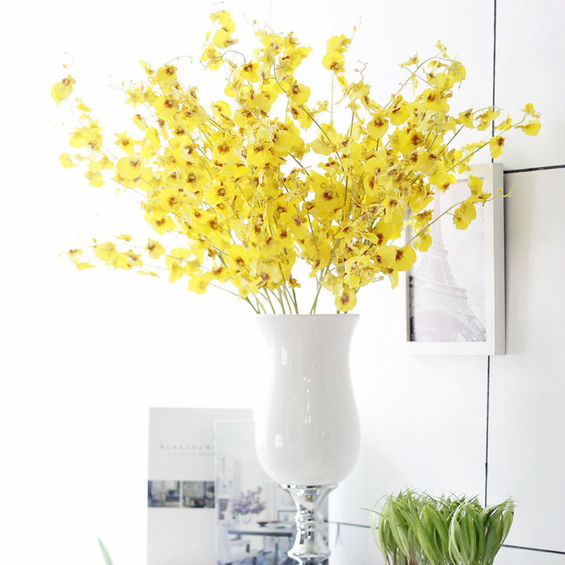 Dancing Orchid Nestasia