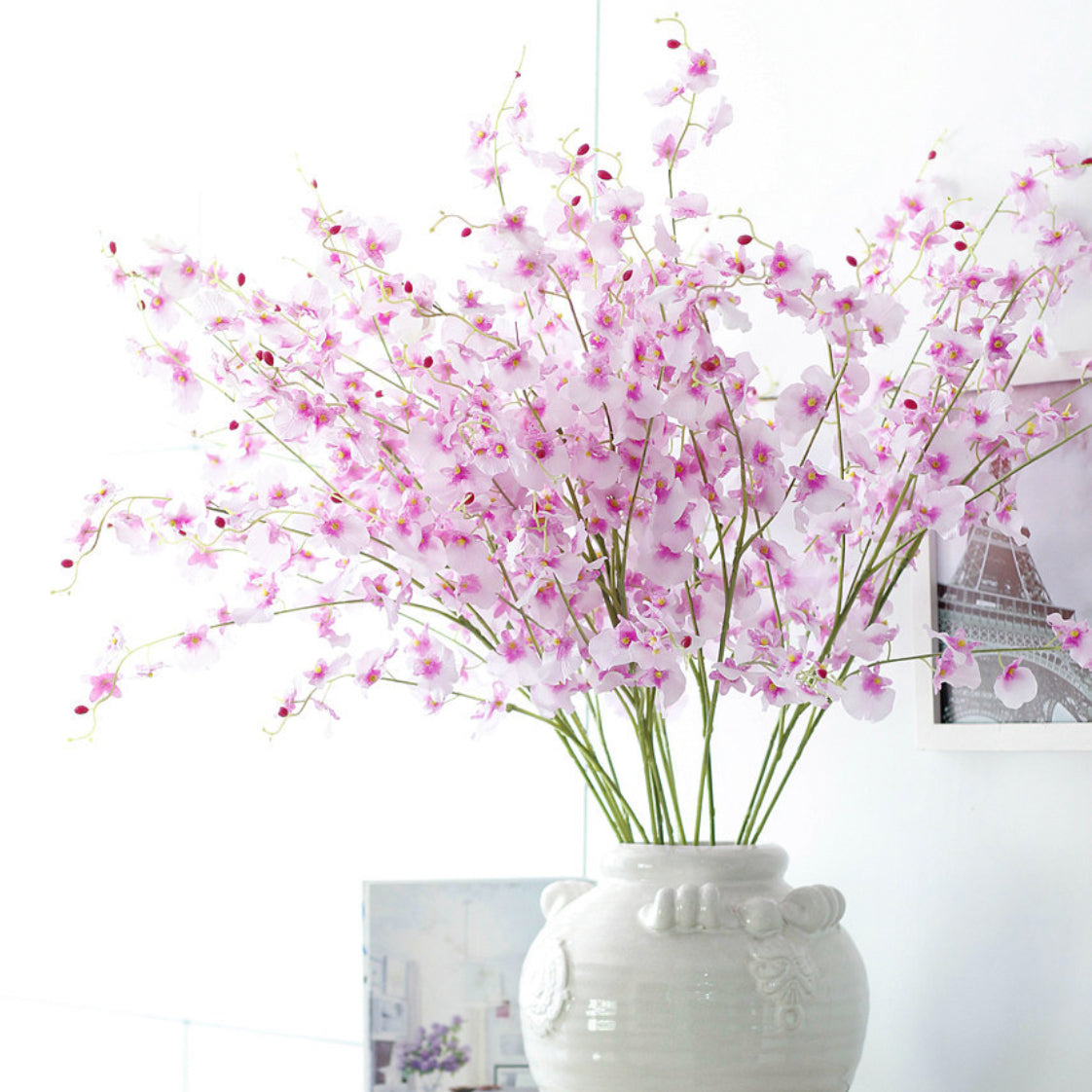 Dancing Orchid Nestasia