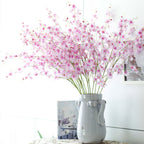 Dancing Orchid Nestasia