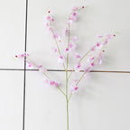 Dancing Orchid Nestasia