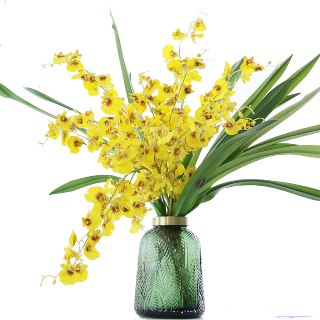Dancing Orchid Nestasia