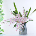 Dancing Orchid Nestasia