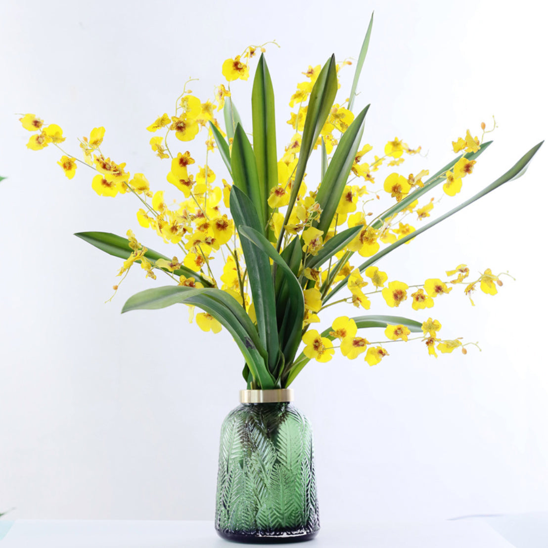 Dancing Orchid Nestasia