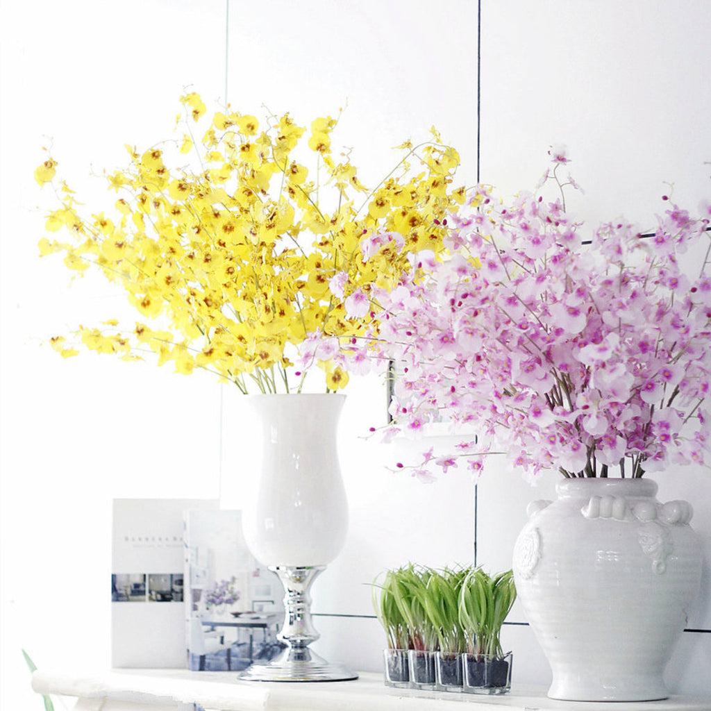 Dancing Orchid Nestasia