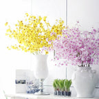 Dancing Orchid Nestasia