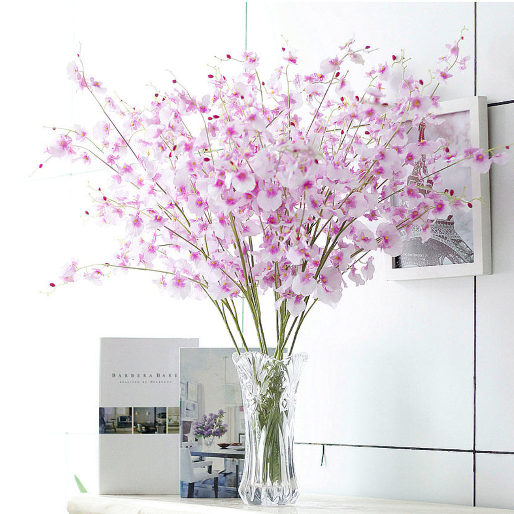 Dancing Orchid Nestasia