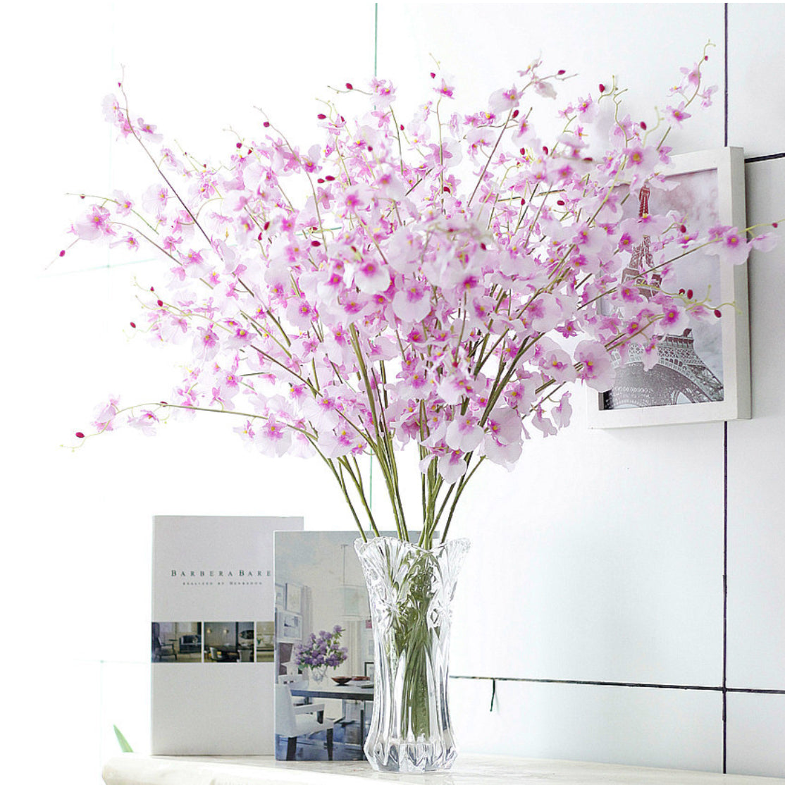 Dancing Orchid Nestasia