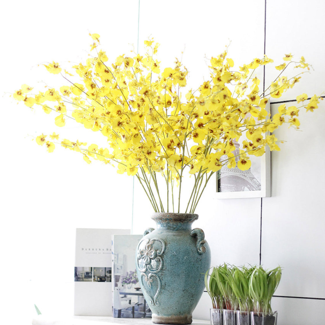 Dancing Orchid Nestasia
