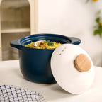 Cera Deep Ceramic Stew Pot Teal 3700ml Nestasia