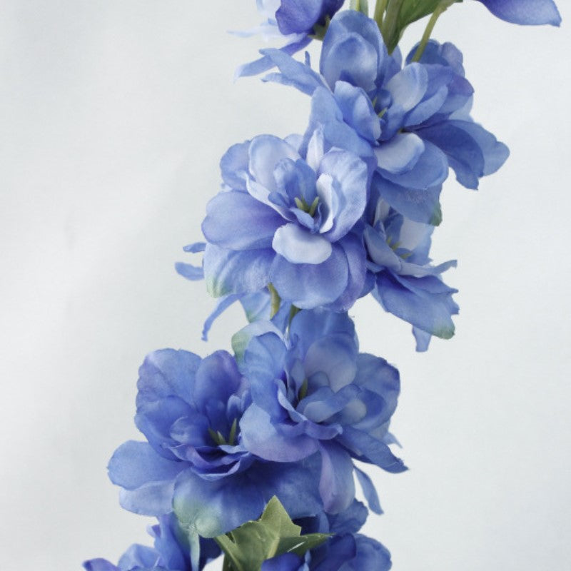 Delphinium Flower Nestasia