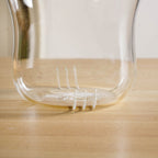 Double Walled Glass Infuser Teapot with Strainer Nestasia