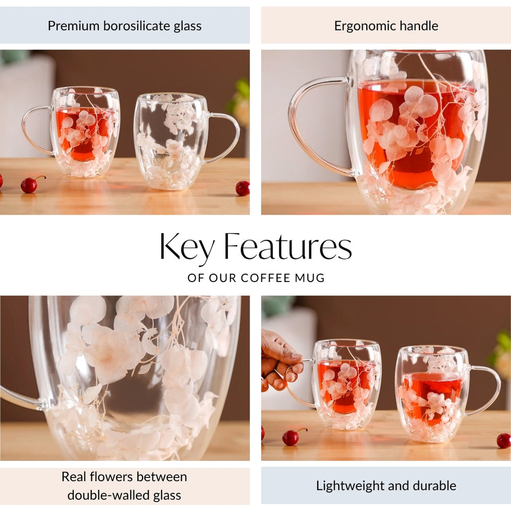 Dried Flowers Inside Double Glass Coffee Mug Set Of 2 350ml Nestasia