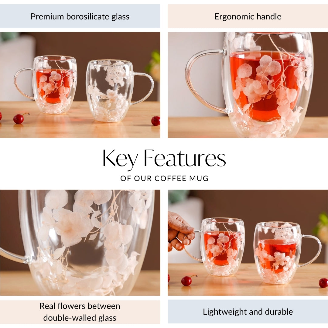 Dried Flowers Inside Double Glass Coffee Mug Set Of 2 350ml Nestasia