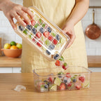 Easy Release Ice Cube Tray With Lid Bin And Scoop Nestasia