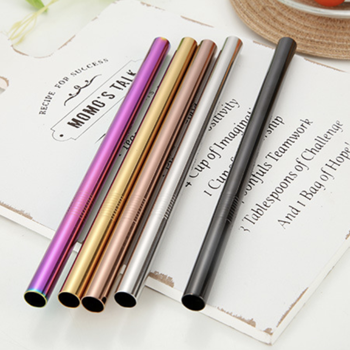 Stainless Steel Straw Set of 2 Nestasia