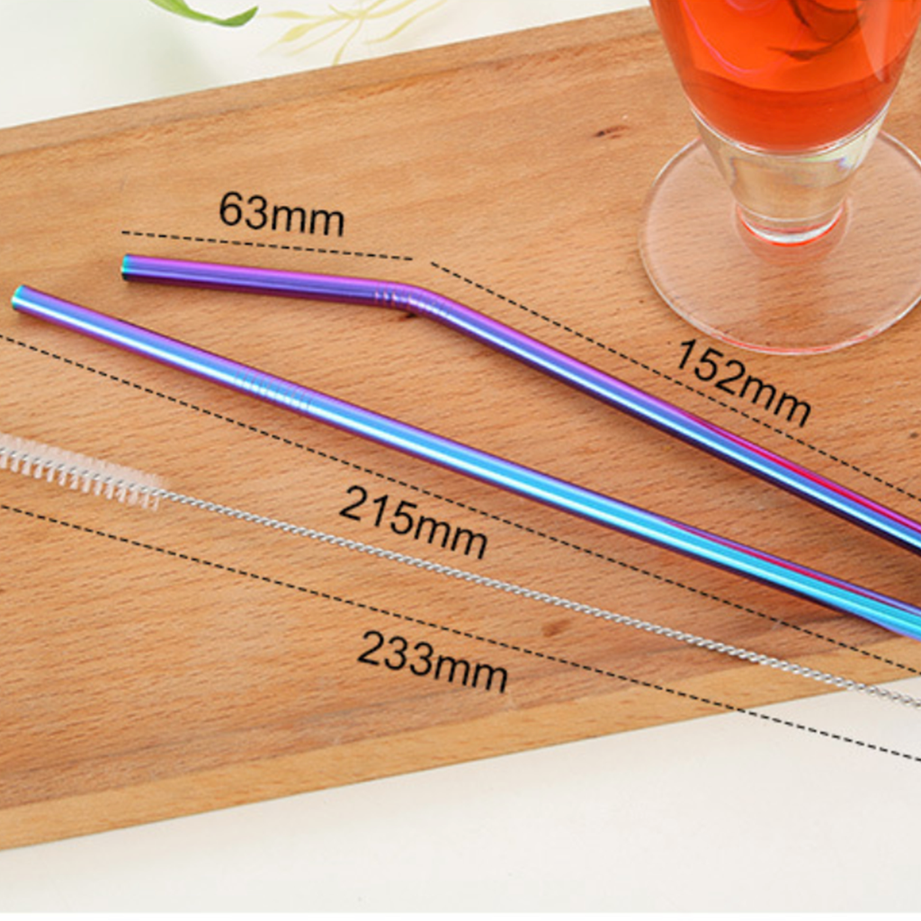 Stainless Steel Straw Set of 2 Nestasia