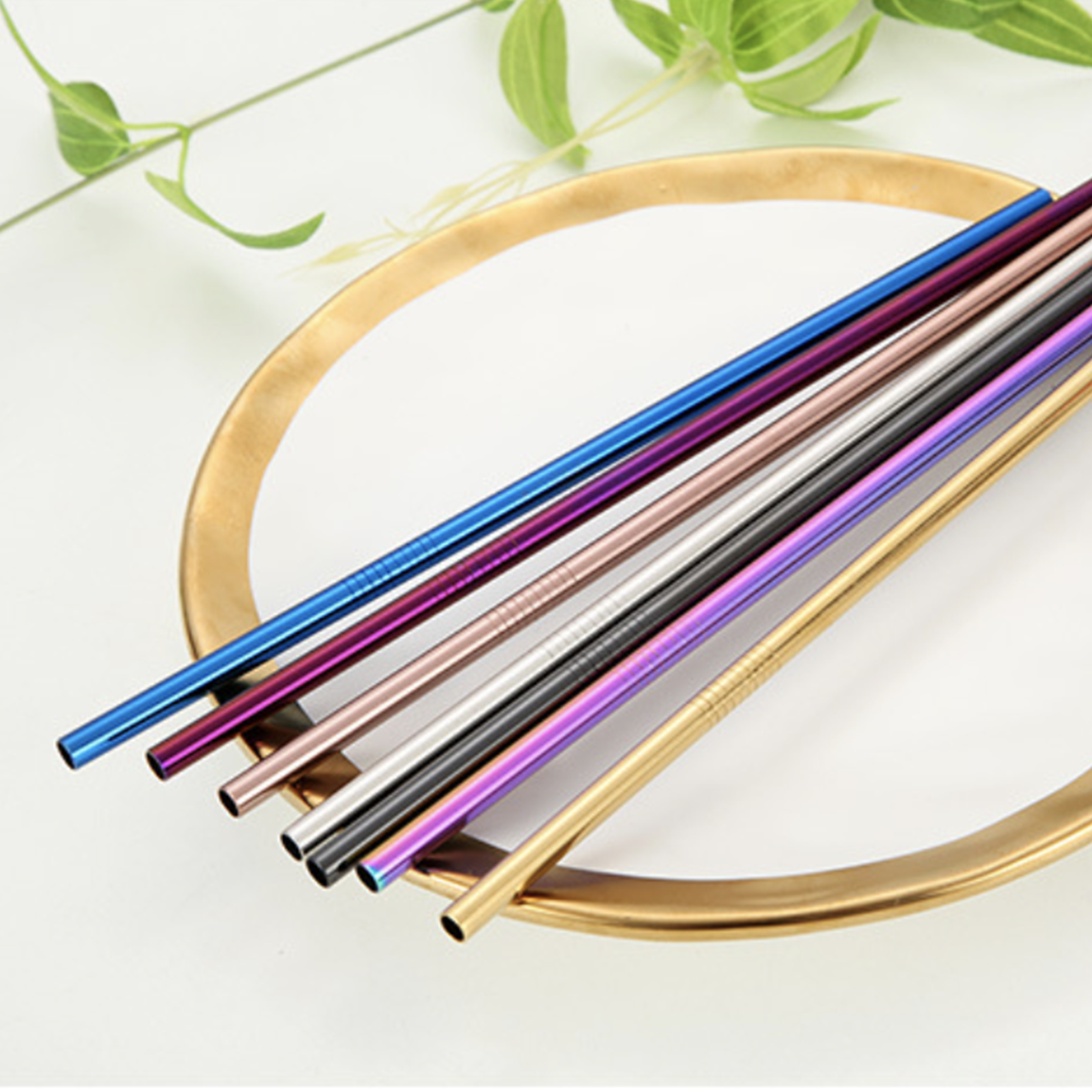 Stainless Steel Straw Set of 2 Nestasia