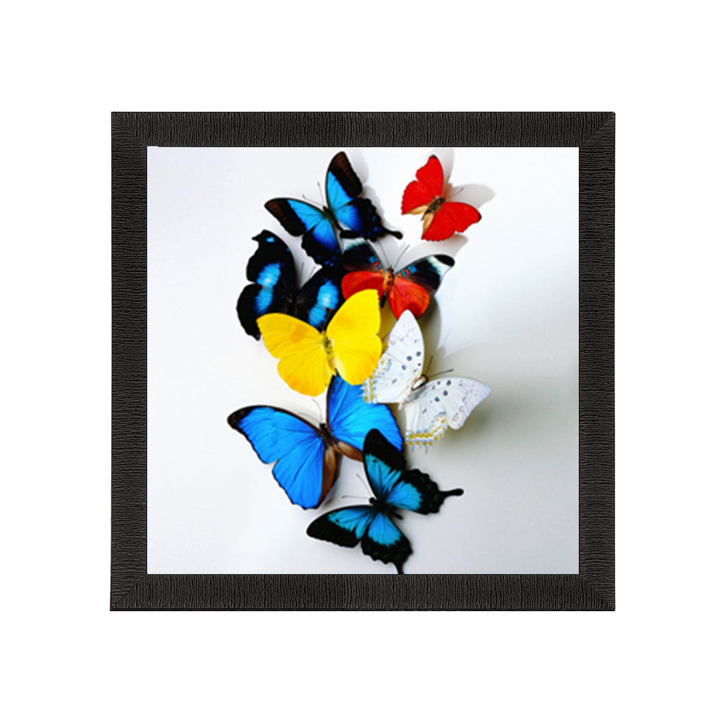 Beautiful Colored Butterfly Matt Textured UV Art Painting Kafalo