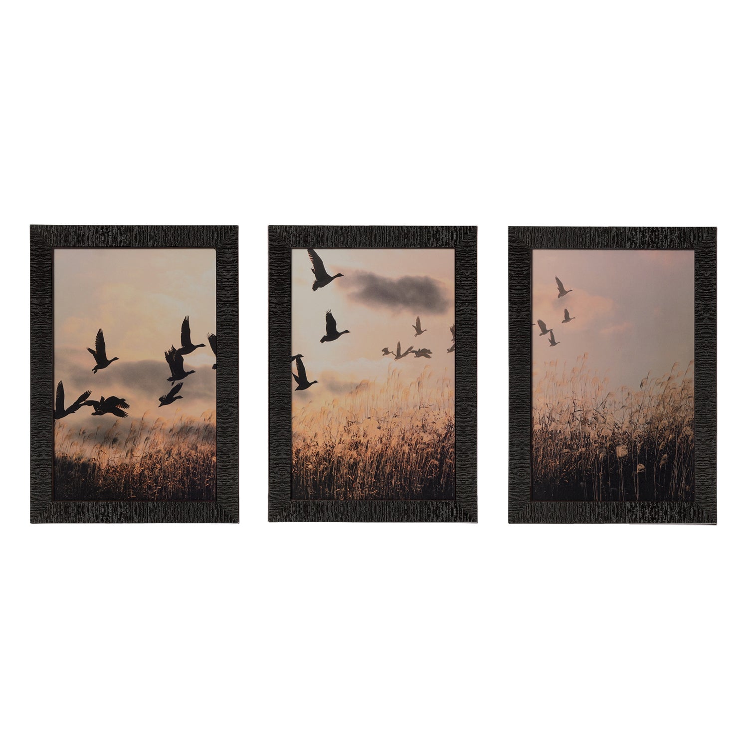Set of 3 Flying Birds Satin Matt Texture UV Art Painting Kafalo