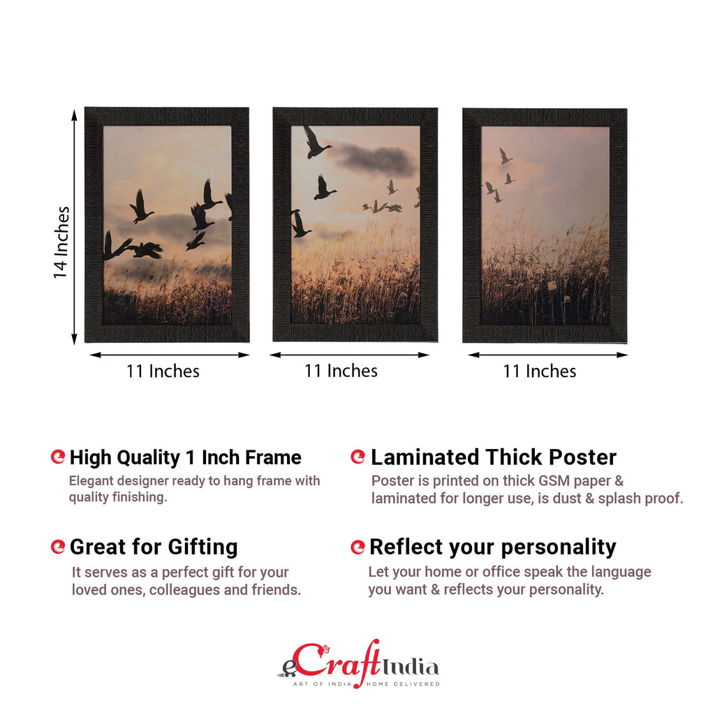 Set of 3 Flying Birds Satin Matt Texture UV Art Painting Kafalo