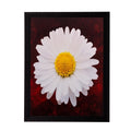White Sunflower Matt Textured UV Art Painting Kafalo