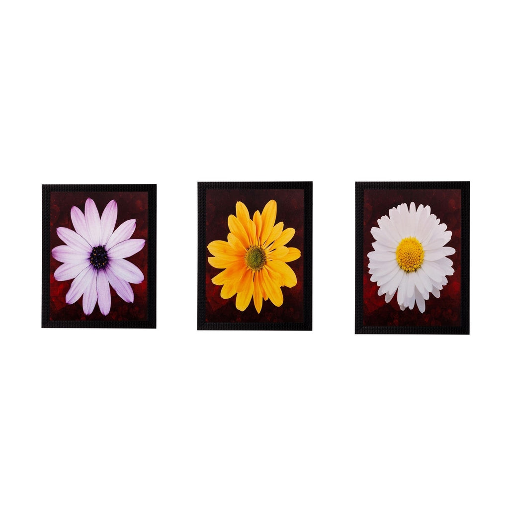 Set of 3 Floral Matt Textured UV Art Painting Kafalo