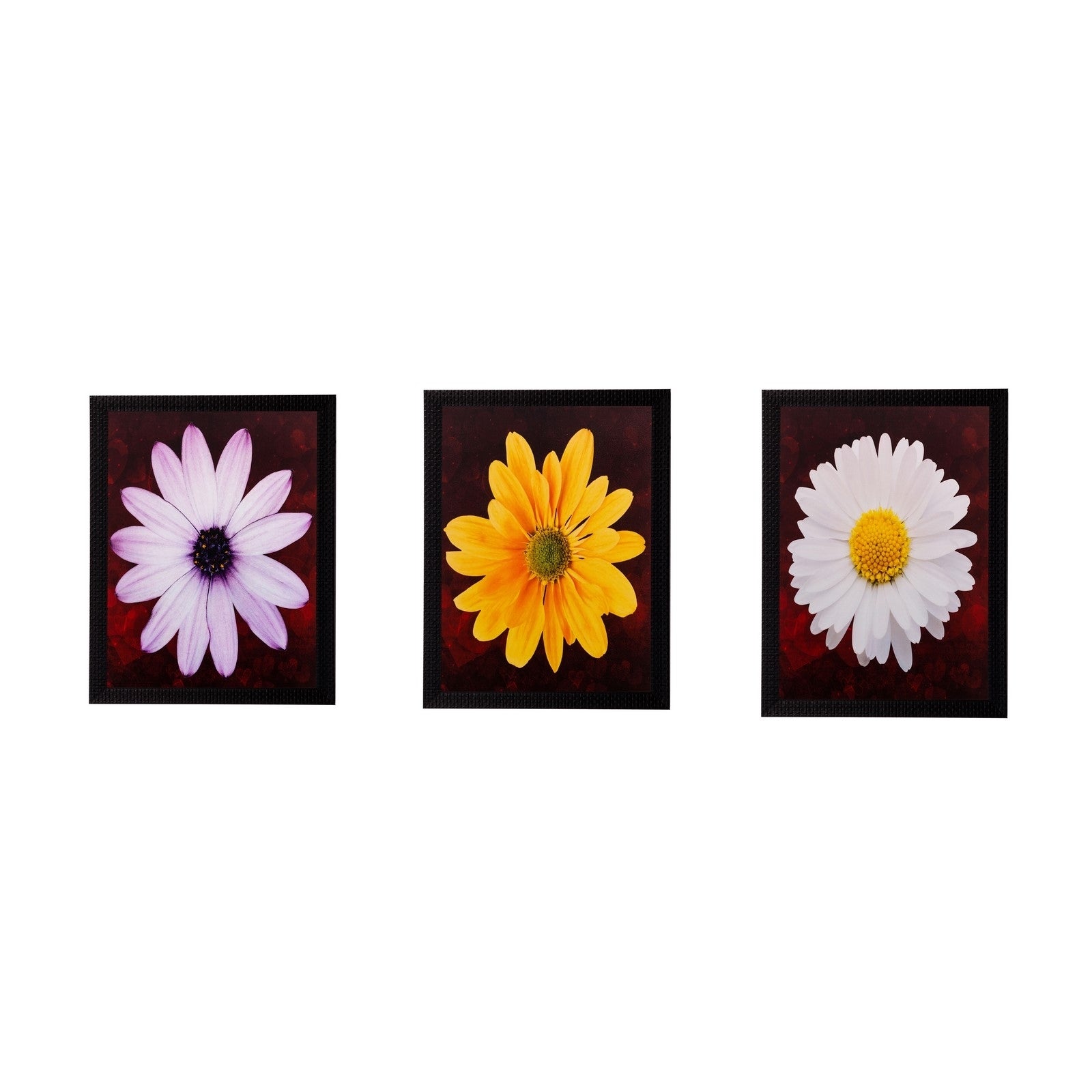 Set of 3 Floral Matt Textured UV Art Painting Kafalo