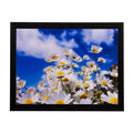 White Sunflower Bunch Matt Textured UV Art Painting Kafalo
