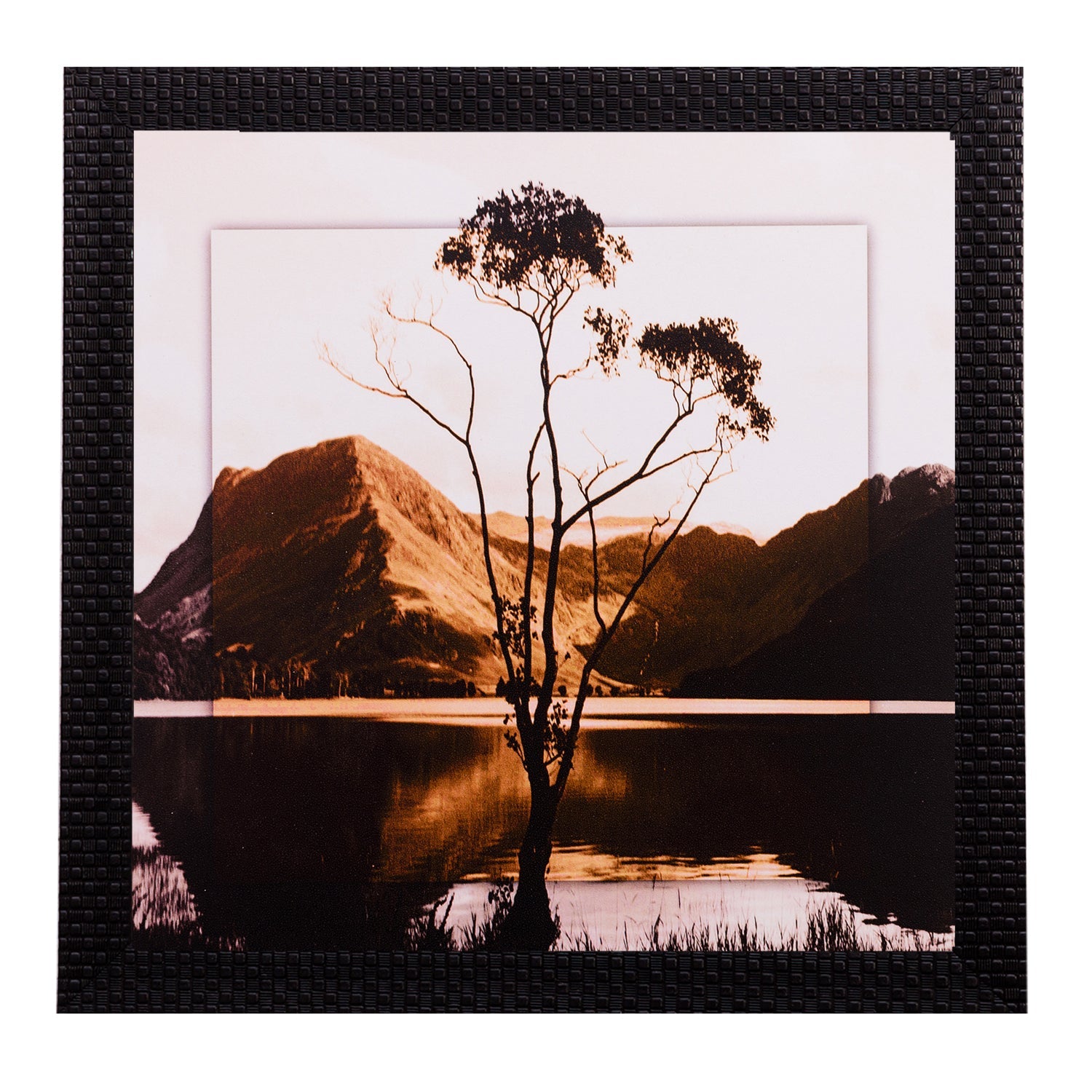 Live Tree Design Satin Matt Texture UV Art Painting Kafalo