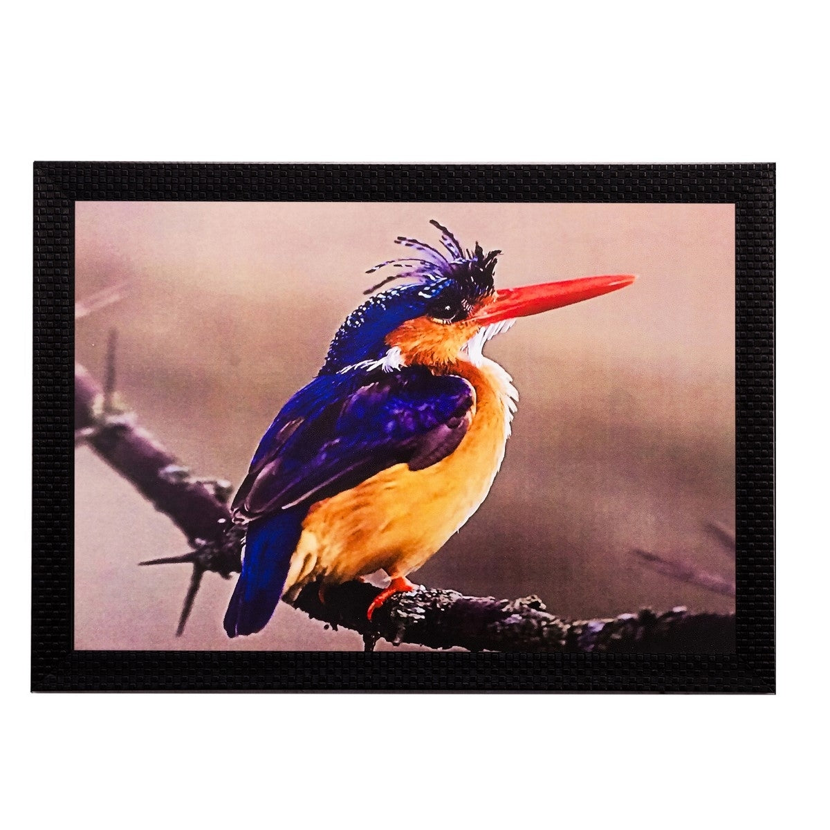 Beautiful Bird Matt Textured UV Art Painting Kafalo