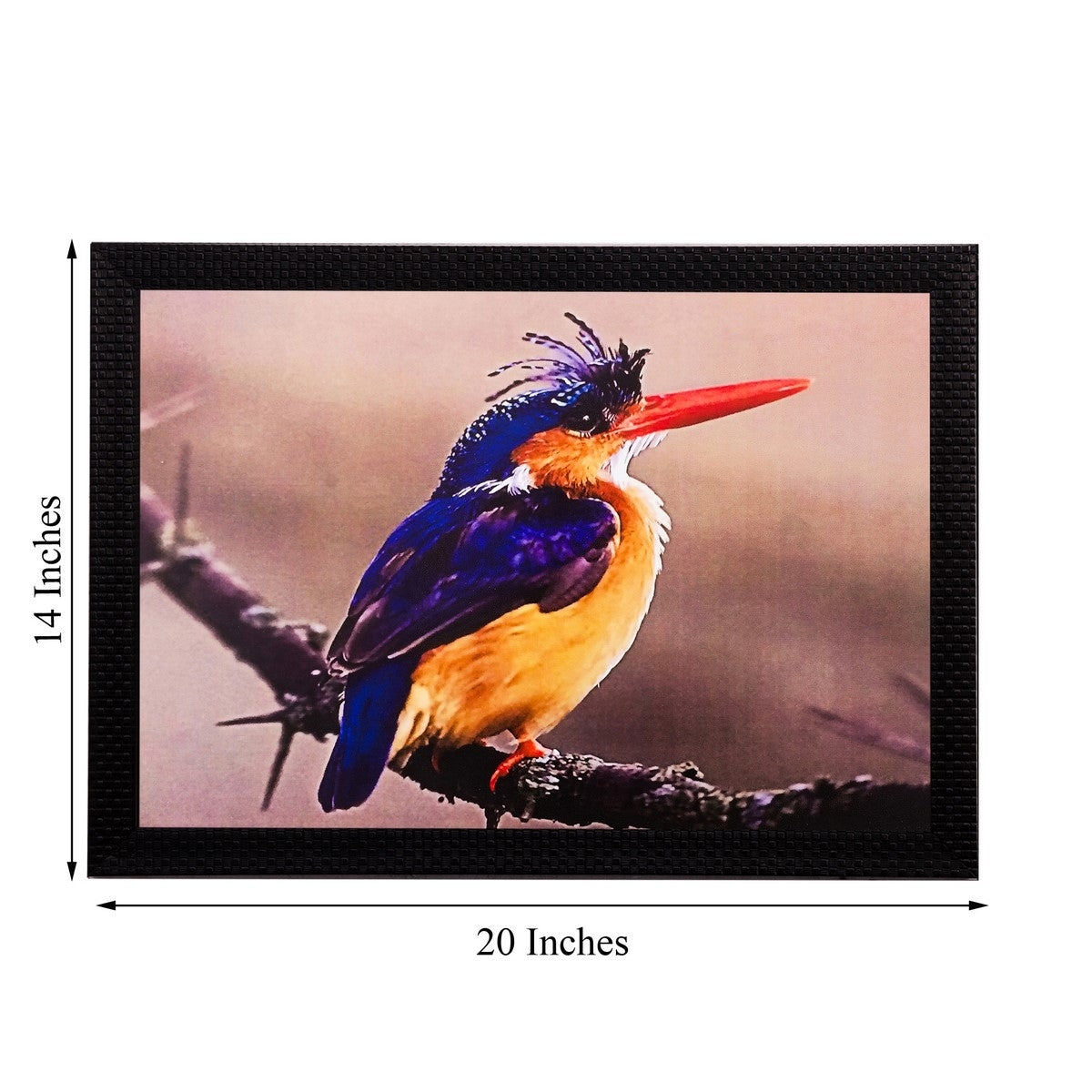 Beautiful Bird Matt Textured UV Art Painting Kafalo