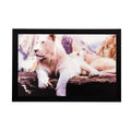Sitting Lion Matt Textured UV Art Painting Kafalo