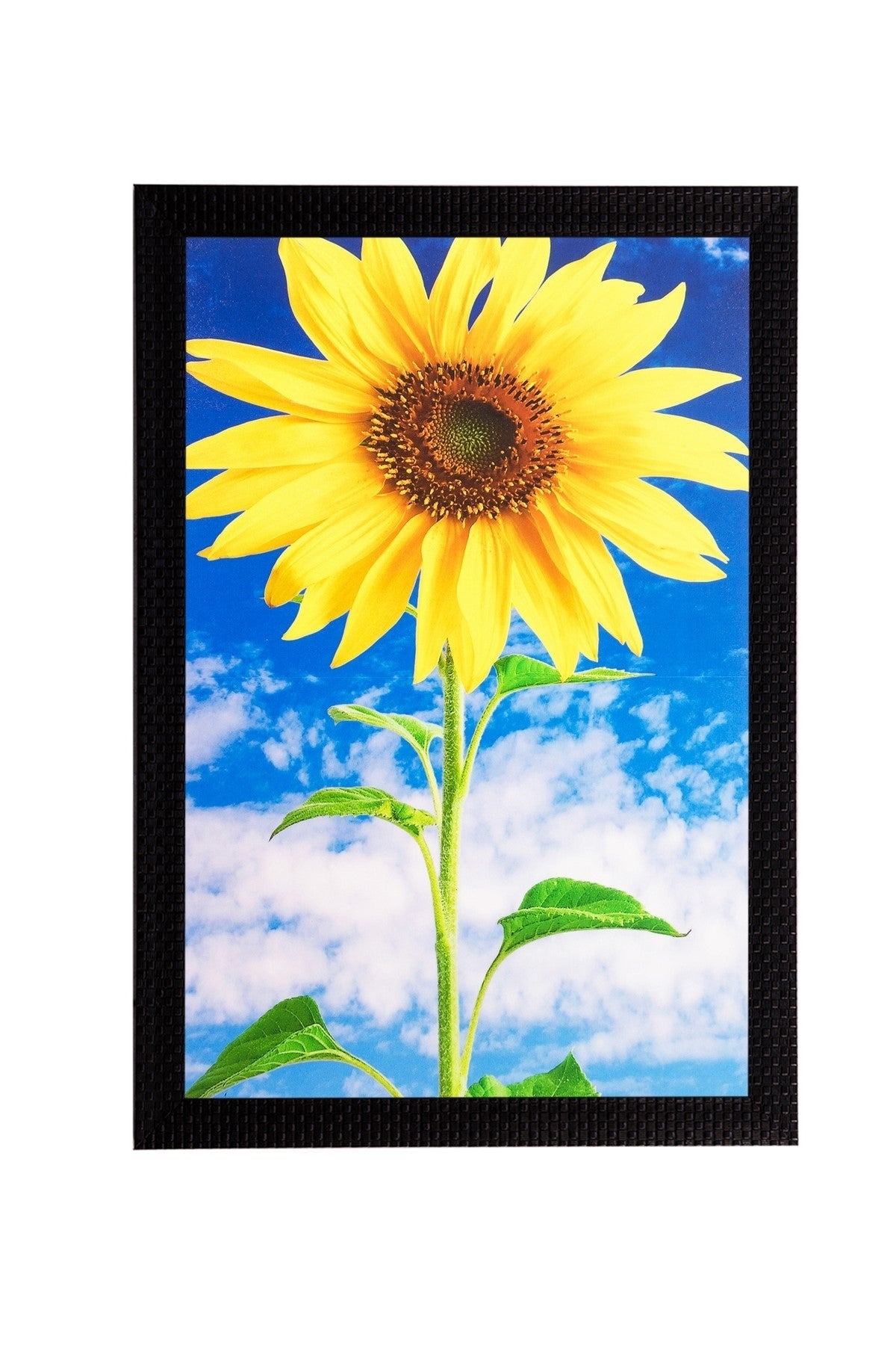 Sunflower Matt Textured UV Art Painting Kafalo