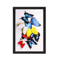 Colorful Butterflies Matt Textured UV Art Painting Kafalo