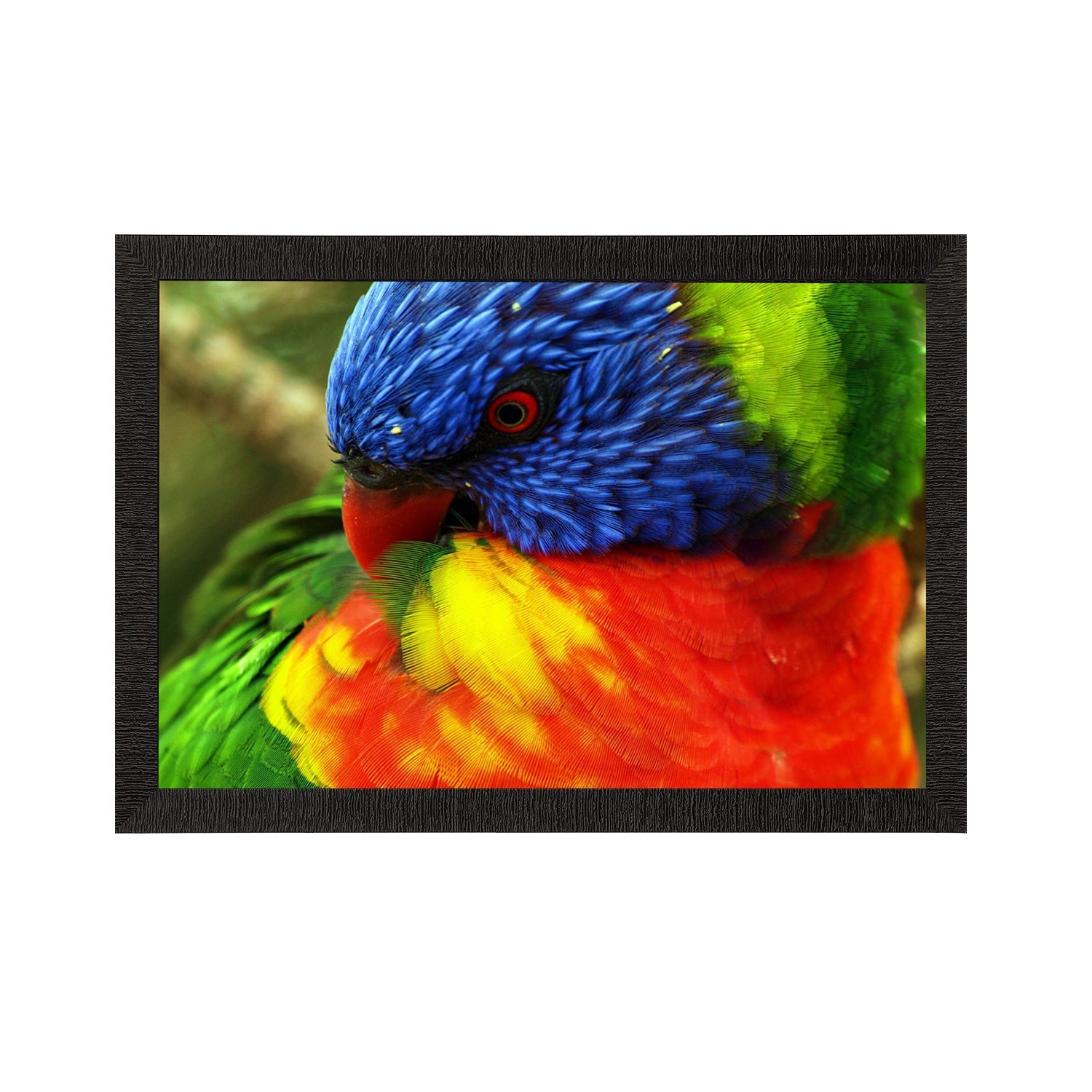Bird Satin Matt Texture UV Art Painting Kafalo