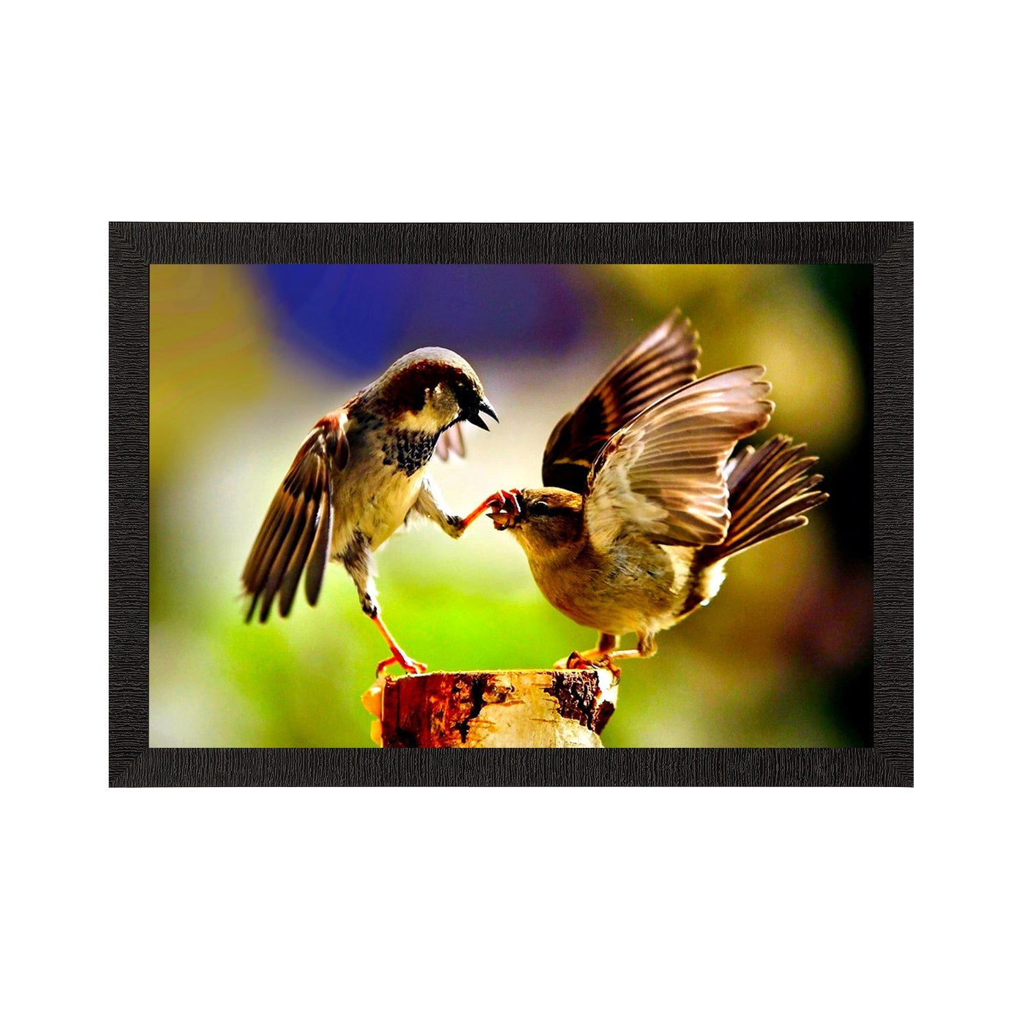 Playing Birds Satin Matt Texture UV Art Painting Kafalo