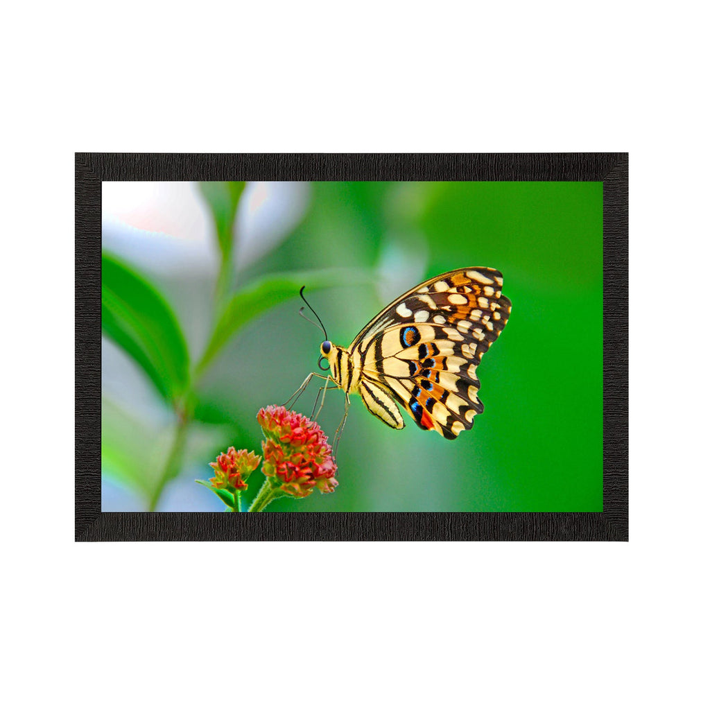 Flower & Butterfly Satin Matt Texture UV Art Painting Kafalo