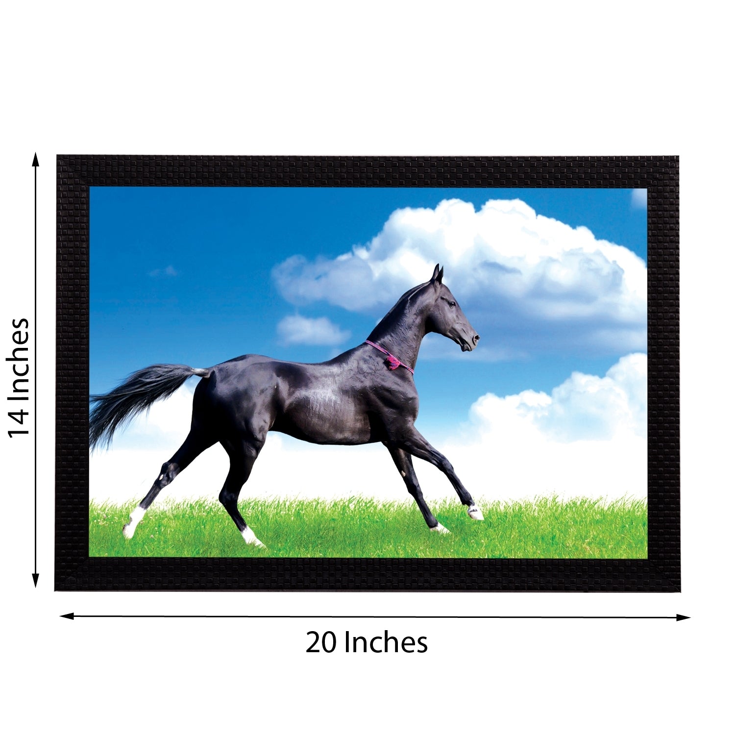 Black Horse Satin Matt Texture UV Art Painting Kafalo