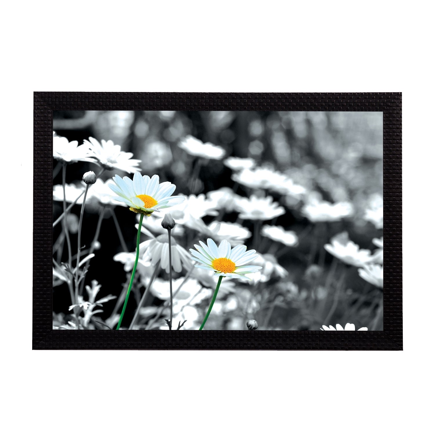 Black & White Floral Satin Matt Texture UV Art Painting Kafalo