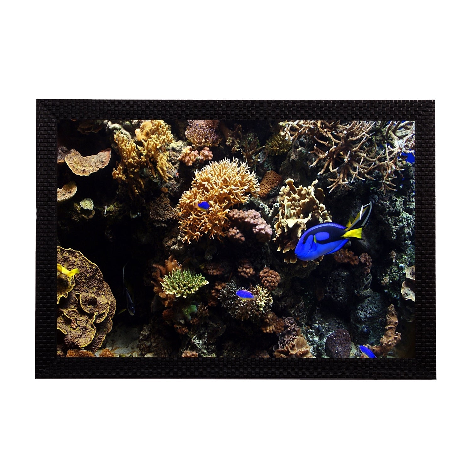 Sea Life Satin Matt Texture UV Art Painting Kafalo